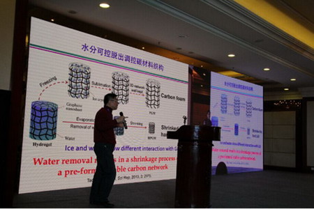 天津大学教授杨全红在中国石墨烯产业发展高层会议做报告