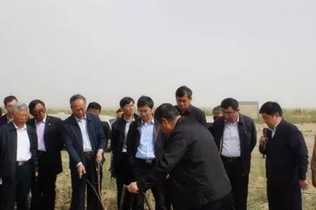 政协副主席马培华南疆调研太阳能驱动苦咸水淡化工程