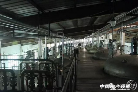 信豚南沙酵母新工厂共有14个发酵罐