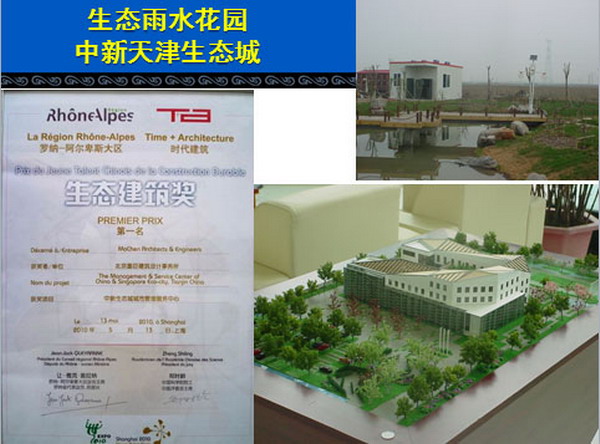 天津市第一座城市生态雨水花园在中新生态城城市管理服务中心园区内运行良好