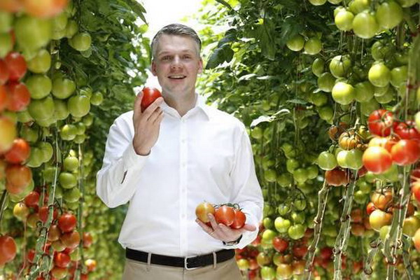菲利普·索姆韦伯(Philipp Saumweber)和Sundrop农场出产的沙漠番茄。