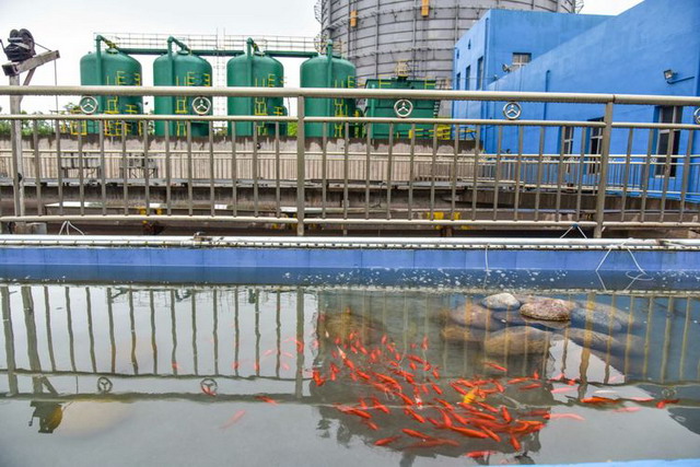 方大萍安钢安源生产区废水集中处理扩容改造三通一平