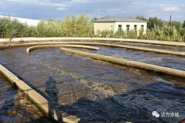 内蒙古凉城县鸿茅镇污水处理厂正抓紧引入膜净水技术