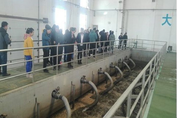 内蒙古东源集团在新建污水处理厂举行环保公众开放日