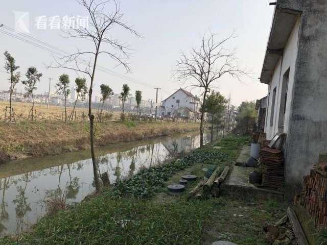 “十三五”末上海全市将实现农村生活污水处理全覆盖