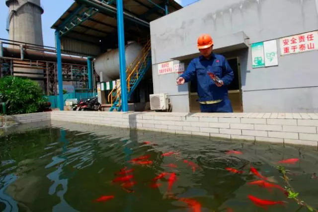 江苏永钢集团废水重复利用零排放获评为“绿色工厂”