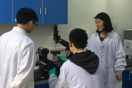 华中科技大学王艳教授团队渗透汽化膜制备获最新成果