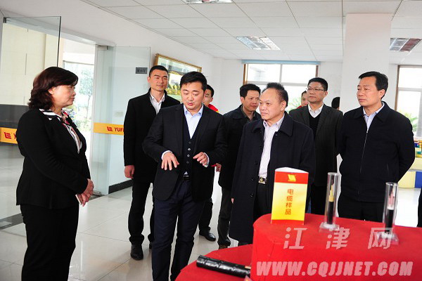 2月18日，蹇锡高院士在重庆渝丰电线电缆有限公司生产现场考察