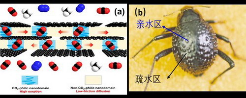 天津工大高性能二氧化碳分离膜研究方面取得重大进展
