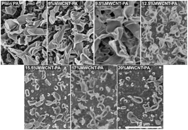 MWCNT-PA纳米复合膜SEM图，所有的图片都在同一放大倍数下拍摄（图片来源于Springer Nature）