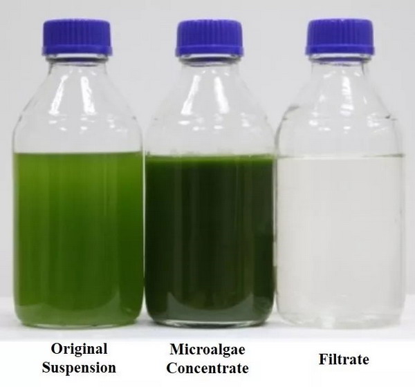 中科院微藻中心高效膜收获工艺及其中试获突破性进展