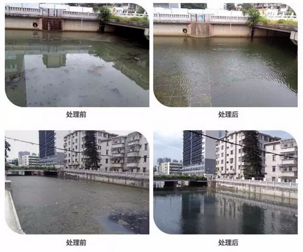 深圳市城区西乡河黑臭水体治理上演一场“博天速度”