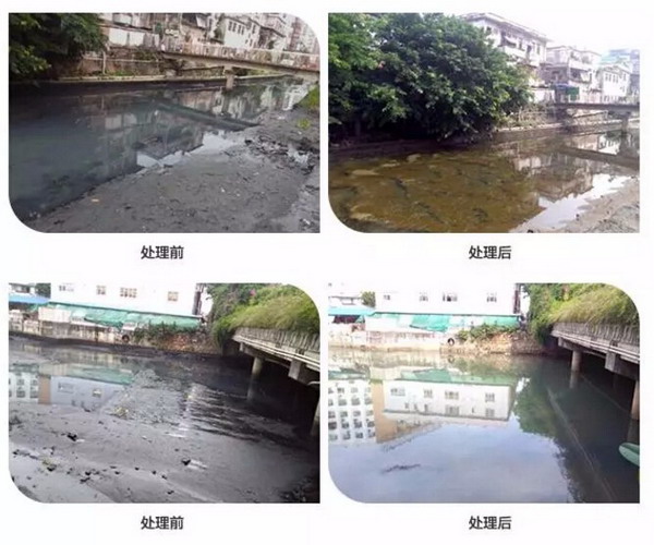 深圳市城区西乡河黑臭水体治理上演一场“博天速度”