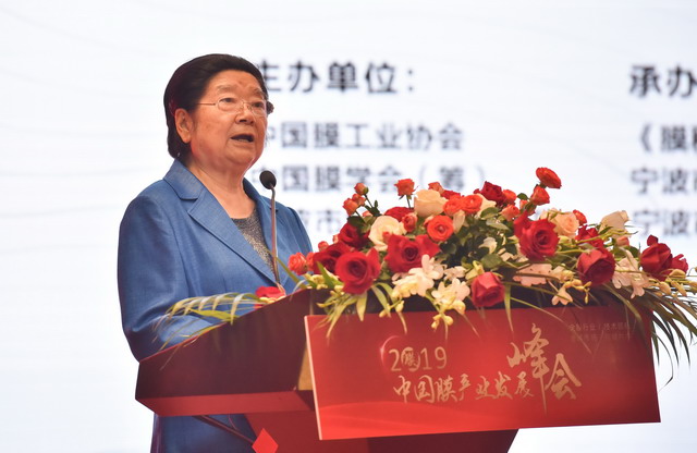 顾秀莲出席2019中国膜产业发展峰会并对膜产业发展提出四点建议