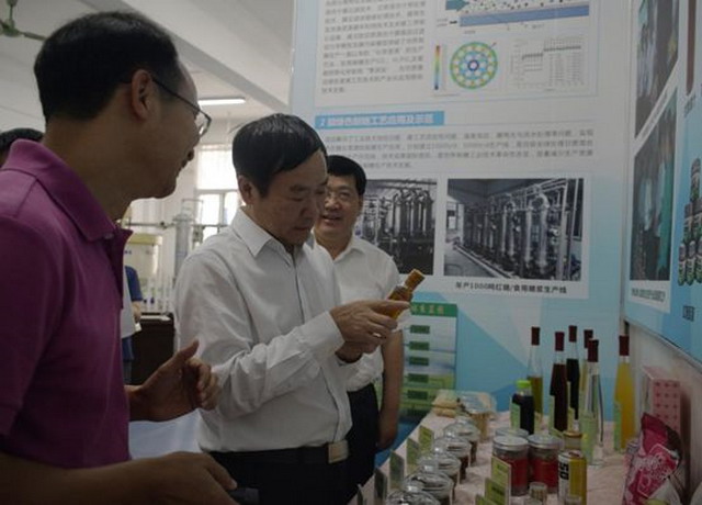 科技部副部长徐南平院士一行在广西调研绿色制糖工程